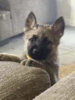 processed/d280436c-e424-4396-87e0-76d135030121/listing/12c57eb6-647c-4539-b4e7-8787ed26df6c/8b14e17c-fd7d-491a-83d2-8addb4ee0151