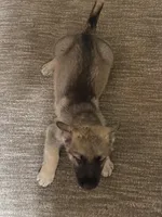 processed/d280436c-e424-4396-87e0-76d135030121/listing/12c57eb6-647c-4539-b4e7-8787ed26df6c/a1c8b516-597f-49d2-9ef4-1ff772eab1c4