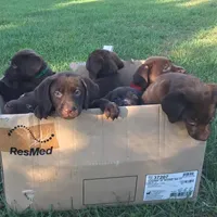 processed/d28af094-abf3-42aa-87e6-cf676cb4ab6b/facility/1f16658f-e430-4300-972a-8bcdad7ecfa7