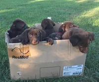 processed/d28af094-abf3-42aa-87e6-cf676cb4ab6b/facility/1f16658f-e430-4300-972a-8bcdad7ecfa7