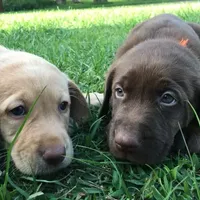 processed/d28af094-abf3-42aa-87e6-cf676cb4ab6b/facility/390fbfcc-628b-4806-a42c-1f5200750581