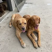 processed/d28af094-abf3-42aa-87e6-cf676cb4ab6b/facility/5ac56251-1c28-42f9-9dfc-00aa16b03815