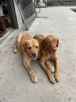 processed/d28af094-abf3-42aa-87e6-cf676cb4ab6b/facility/5ac56251-1c28-42f9-9dfc-00aa16b03815