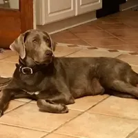 processed/d28af094-abf3-42aa-87e6-cf676cb4ab6b/facility/64ede94c-83bf-4911-b002-48ef78f6daad