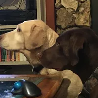 processed/d28af094-abf3-42aa-87e6-cf676cb4ab6b/facility/67967af7-cb5c-4f30-9a57-87c54780e4ec