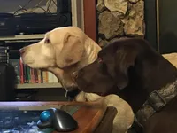 processed/d28af094-abf3-42aa-87e6-cf676cb4ab6b/facility/67967af7-cb5c-4f30-9a57-87c54780e4ec