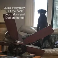 processed/d28af094-abf3-42aa-87e6-cf676cb4ab6b/facility/e009e21c-7c3d-43ea-a5e3-0e280418924c