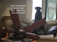 processed/d28af094-abf3-42aa-87e6-cf676cb4ab6b/facility/e009e21c-7c3d-43ea-a5e3-0e280418924c