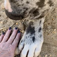 processed/d28e0b57-3010-4733-ac0e-cc64caf27c56/facility/021902eb-7c36-4ea5-9a9b-691780a88a04