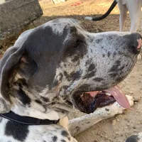 processed/d28e0b57-3010-4733-ac0e-cc64caf27c56/facility/3fac9e95-9469-471f-9fe1-3fa37bb81fa2