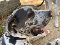 processed/d28e0b57-3010-4733-ac0e-cc64caf27c56/facility/3fac9e95-9469-471f-9fe1-3fa37bb81fa2