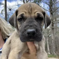 processed/d28e0b57-3010-4733-ac0e-cc64caf27c56/facility/4343bcb6-c94c-4ec3-ab42-db1bde589532