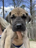 processed/d28e0b57-3010-4733-ac0e-cc64caf27c56/facility/4343bcb6-c94c-4ec3-ab42-db1bde589532