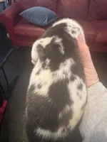 processed/d28e0b57-3010-4733-ac0e-cc64caf27c56/facility/70c266e7-2eea-4247-99da-87e79561b584