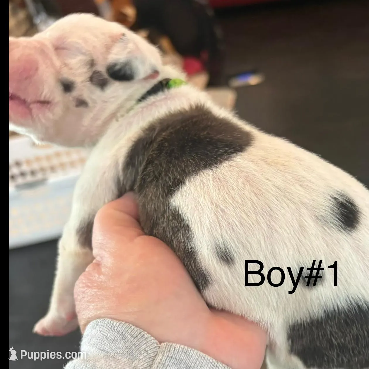 processed/d28e0b57-3010-4733-ac0e-cc64caf27c56/facility/7530aca3-06d4-4b3d-b87b-b07826ffd1d6