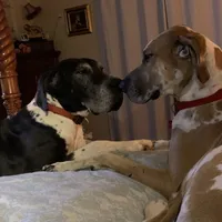 processed/d28e0b57-3010-4733-ac0e-cc64caf27c56/facility/80d9342d-162d-4e52-9e19-110c9fa53041