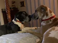 processed/d28e0b57-3010-4733-ac0e-cc64caf27c56/facility/80d9342d-162d-4e52-9e19-110c9fa53041