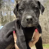 processed/d28e0b57-3010-4733-ac0e-cc64caf27c56/facility/81765aaf-63ec-404e-b723-95764e2711d0