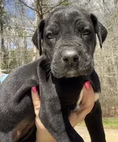 processed/d28e0b57-3010-4733-ac0e-cc64caf27c56/facility/81765aaf-63ec-404e-b723-95764e2711d0