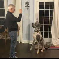 processed/d28e0b57-3010-4733-ac0e-cc64caf27c56/facility/c4328ab0-b686-4566-8679-6e9ebfd63d56