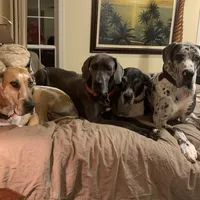 processed/d28e0b57-3010-4733-ac0e-cc64caf27c56/facility/e7044295-960d-4c9e-8cf7-80319fce14f9