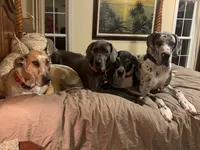 processed/d28e0b57-3010-4733-ac0e-cc64caf27c56/facility/e7044295-960d-4c9e-8cf7-80319fce14f9