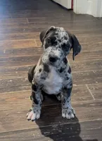 processed/d28e0b57-3010-4733-ac0e-cc64caf27c56/listing/643f714c-b5a0-4cfd-8398-1fc31f53c24d/0f5d36fd-5d01-47bd-9c92-2563d319cdc1