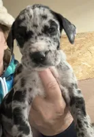 processed/d28e0b57-3010-4733-ac0e-cc64caf27c56/listing/643f714c-b5a0-4cfd-8398-1fc31f53c24d/82b2c6f6-1c52-4606-9b99-c4f5a1786a01