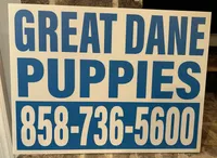 processed/d28e0b57-3010-4733-ac0e-cc64caf27c56/listing/643f714c-b5a0-4cfd-8398-1fc31f53c24d/8e69c39f-4914-4e8f-b2a1-36d28a9ef8ff