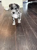 processed/d28e0b57-3010-4733-ac0e-cc64caf27c56/listing/643f714c-b5a0-4cfd-8398-1fc31f53c24d/9fea1c1e-6af7-48f8-83f5-bf29956f3fce