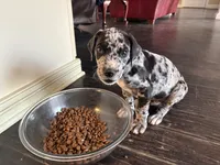 processed/d28e0b57-3010-4733-ac0e-cc64caf27c56/listing/643f714c-b5a0-4cfd-8398-1fc31f53c24d/ce0d6ec0-7148-48d5-9924-1f73141e76cc