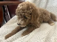 processed/d29191d6-3b9a-4999-9dfa-18ddf496b617/listing/06cd4fd8-091a-478e-9089-64e5c19c127a/1893466a-d72f-48bf-a98b-a9147c7e2330