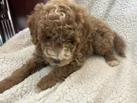 processed/d29191d6-3b9a-4999-9dfa-18ddf496b617/listing/06cd4fd8-091a-478e-9089-64e5c19c127a/b2b94a04-9db2-4a6f-9276-d3bf83e358ec