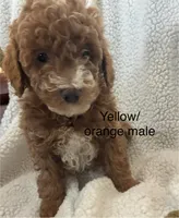 processed/d29191d6-3b9a-4999-9dfa-18ddf496b617/listing/06cd4fd8-091a-478e-9089-64e5c19c127a/ffc73087-8bce-47f6-ac43-02818f1ad506