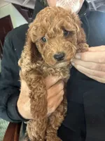 processed/d29191d6-3b9a-4999-9dfa-18ddf496b617/listing/aebf57f2-e6b7-4808-aae4-c86b3b7ff029/9d91b1de-466d-4177-9518-d4463d298871