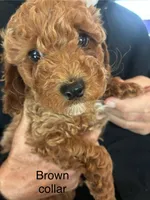 processed/d29191d6-3b9a-4999-9dfa-18ddf496b617/listing/aebf57f2-e6b7-4808-aae4-c86b3b7ff029/ab28752b-ff98-4135-92e1-7922409f84c1