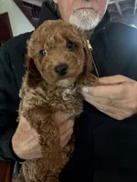 processed/d29191d6-3b9a-4999-9dfa-18ddf496b617/listing/aebf57f2-e6b7-4808-aae4-c86b3b7ff029/e045b104-ff60-49d8-b542-978d28db72d0