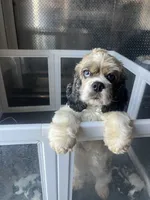 processed/d29982b8-e253-4ffa-ba6e-0cc7a31343c9/listing/8a29decf-7064-4c59-9ef3-7e5eb8483cfb/4ad39061-e6d1-4726-a1fd-6a5266bb1228