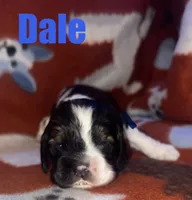 processed/d29982b8-e253-4ffa-ba6e-0cc7a31343c9/listing/8a29decf-7064-4c59-9ef3-7e5eb8483cfb/813fef1a-282c-4708-89ce-7e4bfc26af4e