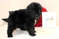 processed/d2b6a703-2fb0-4ffa-a22d-67eef44a2ca2/listing/34e8d277-016b-49d5-be08-3c067f2ac90c/3c431449-a4ca-4b0a-b319-d5574623a866