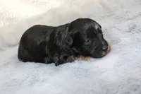 processed/d2b6a703-2fb0-4ffa-a22d-67eef44a2ca2/listing/8dd569dd-59b9-4267-b0a6-22973c45917d/00710a42-78d9-4592-ade9-4dc22b8adfa3