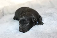 processed/d2b6a703-2fb0-4ffa-a22d-67eef44a2ca2/listing/c7e12fd7-280d-4040-80a6-bef3d82af936/240f1a16-4fc3-4835-9681-9a5b08d639df