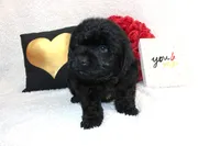 processed/d2b6a703-2fb0-4ffa-a22d-67eef44a2ca2/listing/c7e12fd7-280d-4040-80a6-bef3d82af936/d7d59d56-b2c6-4a79-ae76-193c726c2d63