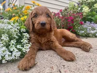 processed/d2bc0006-7bdd-43f5-b531-bef506844ec7/listing/7abdc116-f15b-4ec6-99fd-ef81d206f921/0923de5b-f752-4e58-800a-1ae4404f1d21