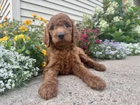 processed/d2bc0006-7bdd-43f5-b531-bef506844ec7/listing/7e0a52be-3161-4a9f-94a5-c7443d8bb4f5/040e83eb-56a0-4b6d-bb49-3cb2575caf26