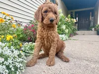 processed/d2bc0006-7bdd-43f5-b531-bef506844ec7/listing/a0b661cc-191b-478e-b70a-ec23b3cc2efc/095fce8d-ccd3-42bb-905c-289204c2a226