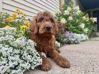 processed/d2bc0006-7bdd-43f5-b531-bef506844ec7/listing/a0b661cc-191b-478e-b70a-ec23b3cc2efc/6a4cdbca-359f-46dc-b0ca-1e860fa624ac