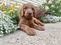 processed/d2bc0006-7bdd-43f5-b531-bef506844ec7/listing/bd084716-feb3-41ae-9244-81f356aa69dc/91e14897-1aa0-4498-a74b-fdcab3a21343