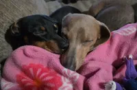 processed/d2c71653-befd-48ff-8659-811fe8251c2e/listing/39613c25-e681-48e7-8323-4cd240a08fa4/2f899b48-8f9c-4d74-8c53-d5eddcfc46b2