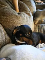 processed/d2c71653-befd-48ff-8659-811fe8251c2e/listing/39613c25-e681-48e7-8323-4cd240a08fa4/527a8290-10d0-43d6-9e28-061fa503a49e